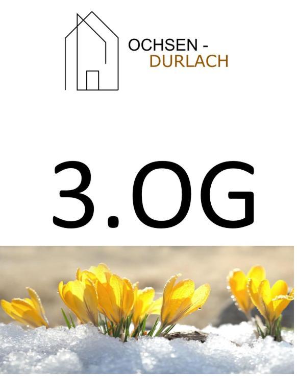 Ochsen-Durlach Карлсруе Стая снимка